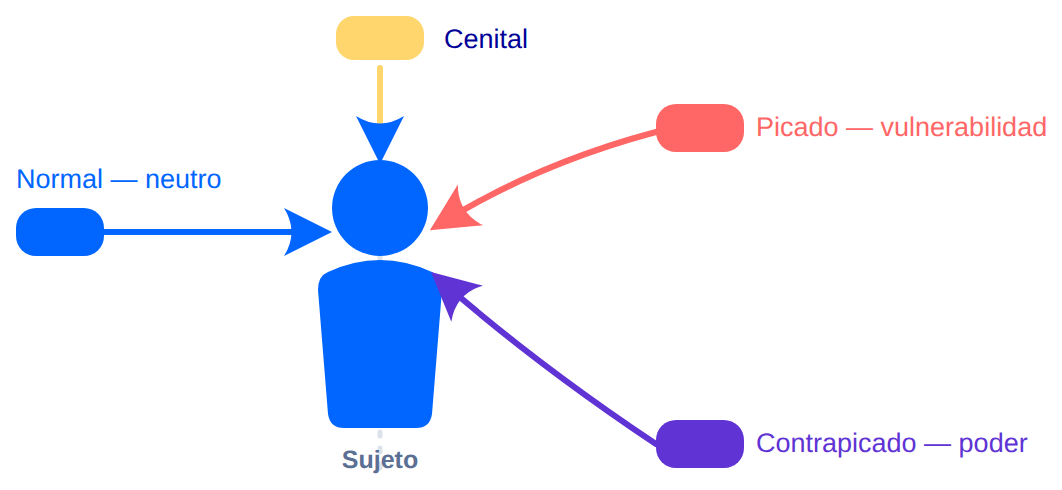 Diagrama: ángulos de cámara (normal, picado, contrapicado, cenital)