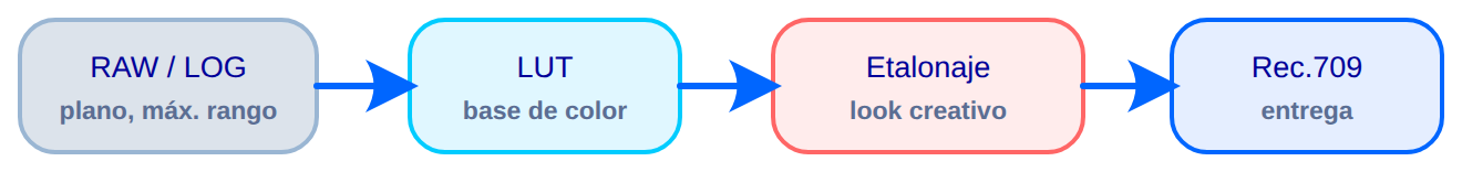 Diagrama: flujo de color, de RAW/LOG a Rec.709