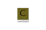 logo-calypso-painting