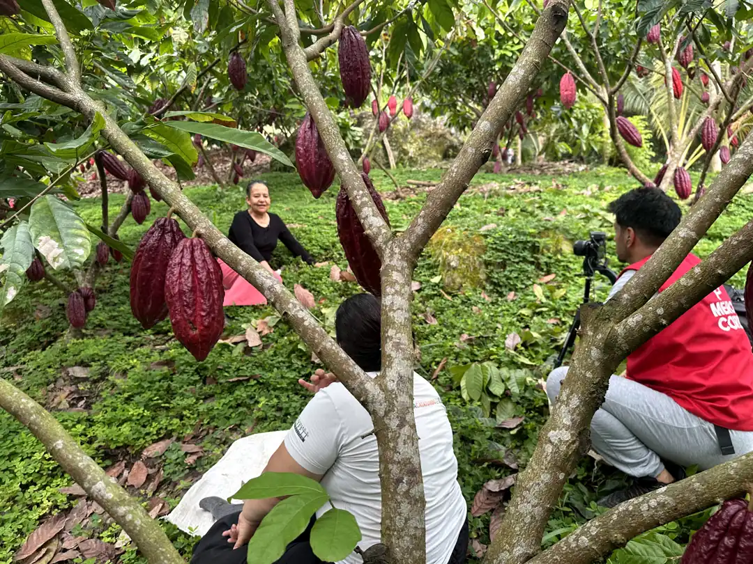Servicios de Mouse Interactivo para el sector social: video y fotografía en un cultivo de cacao